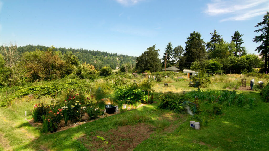 Community Garden